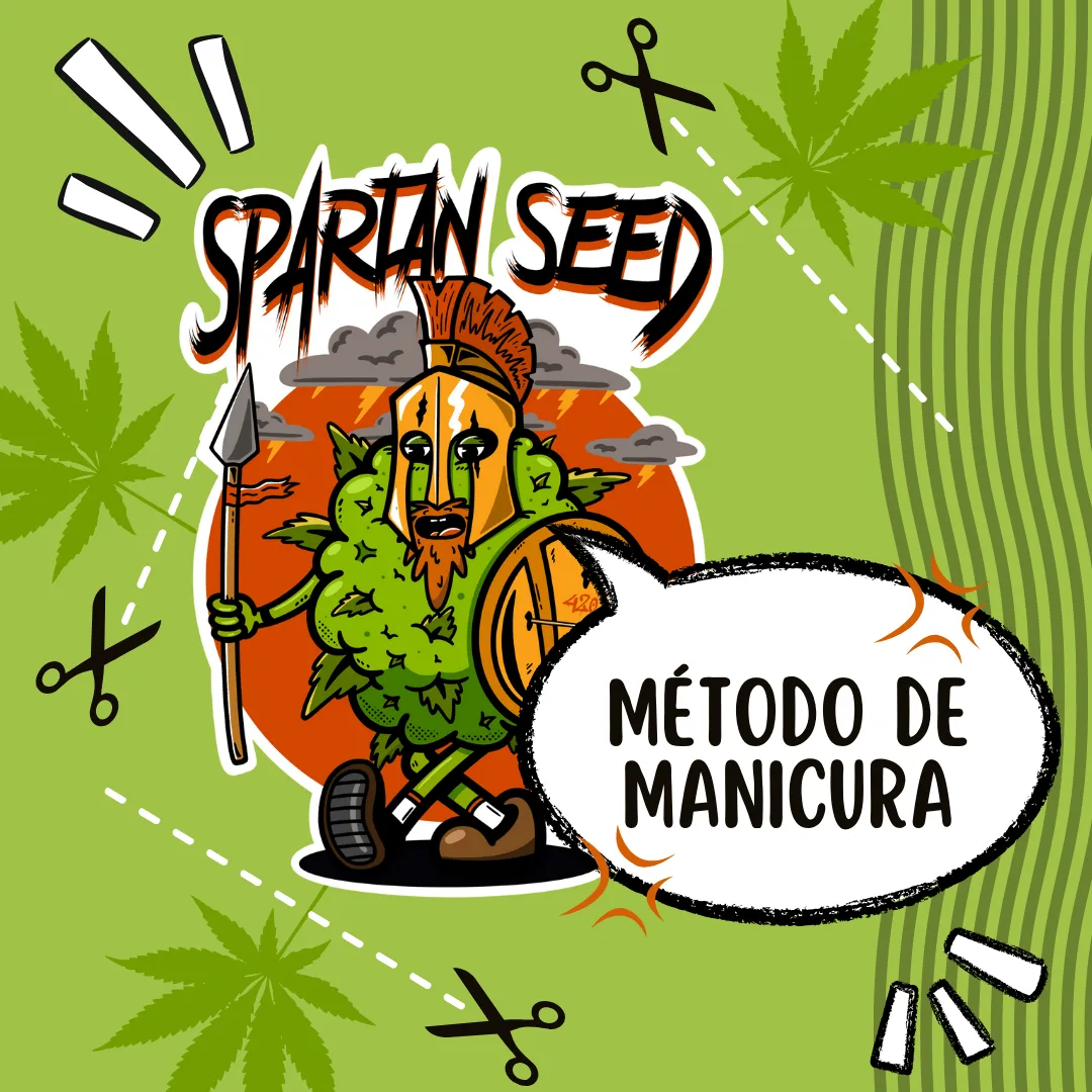 CONOCÉ LOS MÉTODOS DE MANICURA