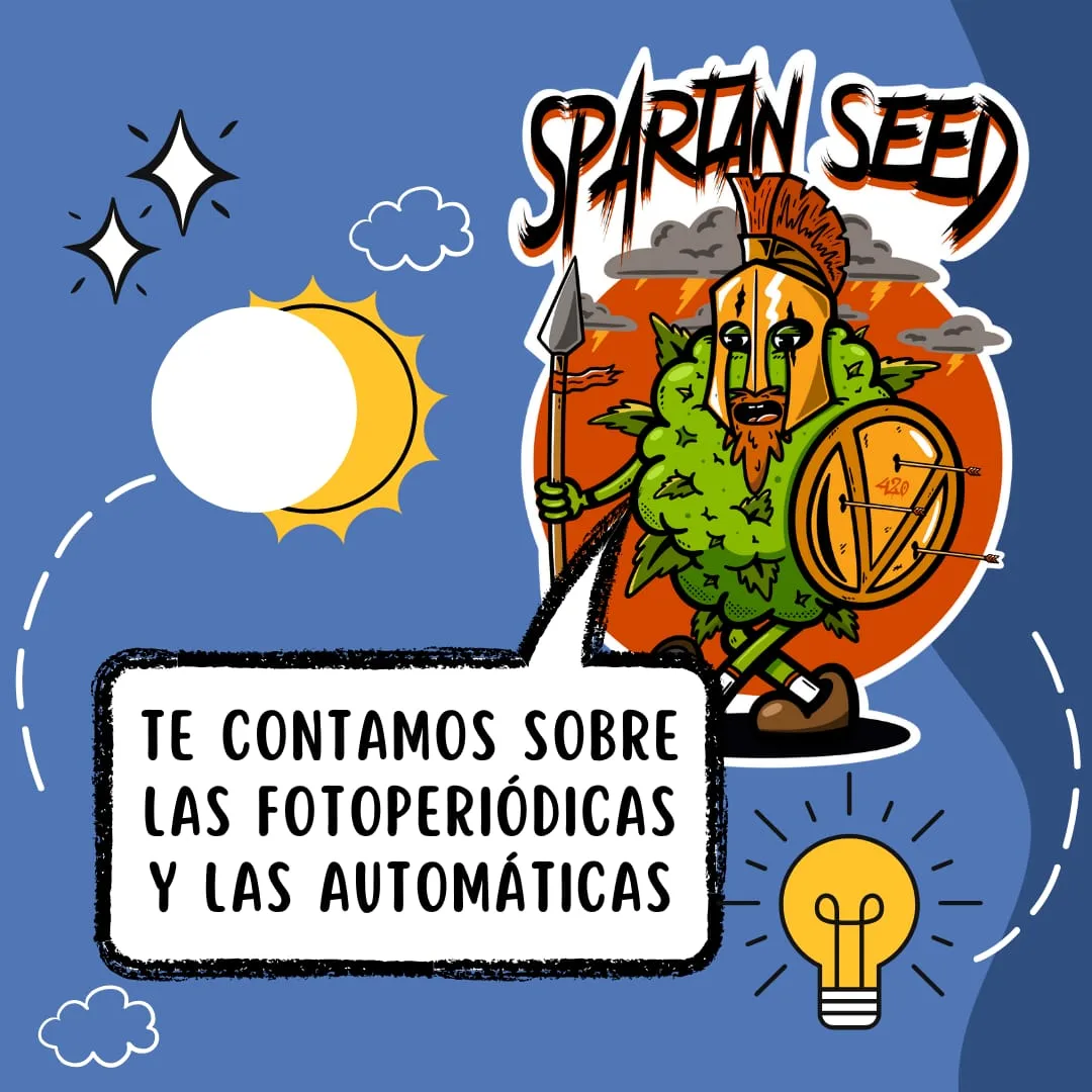 ¿QUÉ TIPO DE PLANTA ELEGIR?